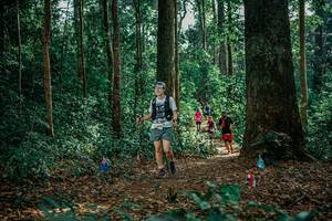 BIB: 
                            <button type="button" onclick="openModal(26132171)" class="btn btn-primary btn-sm float-right btn-popup" data-toggle="modal" data-target=".modal-high-quality">
                        <i class="fas fa-shopping-cart"></i> Add to Cart
                    </button>
                                            <button type="button" onclick="isThisMe(26132171, true)" class="btn btn-success btn-sm float-right btn-popup btn-isme hidden" data-toggle="tooltip" data-placement="bottom" title="นี่คือรูปของคุณใช่ไหม คลิกที่นี่เพื่อเอาเข้าอัลบั้ม">
                        <i class="fas fa-plus"></i> Add to album
                    </button>
                    <button type="button" onclick="isThisMe(26132171, false)" class="btn btn-warning btn-sm float-right btn-popup btn-isnotme hidden">
                        <i class="fas fa-ban"></i> Remove from album
                    </button>